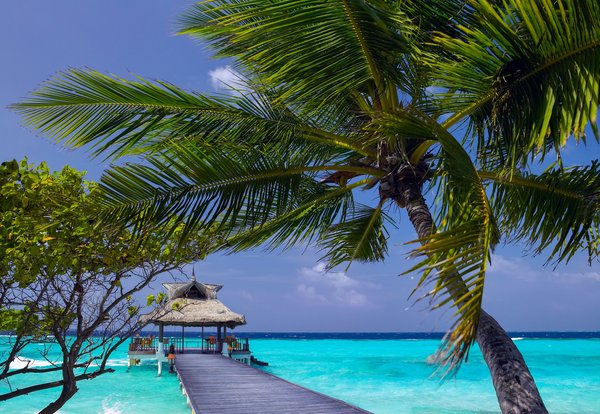 Maldives en janvier : vacances de rêve entre mer et soleil
